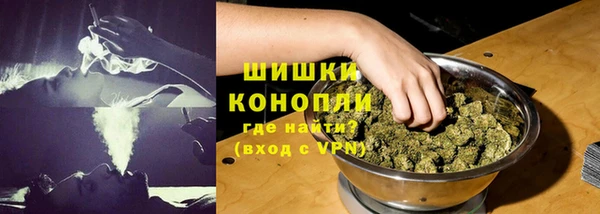 крисы Гусь-Хрустальный