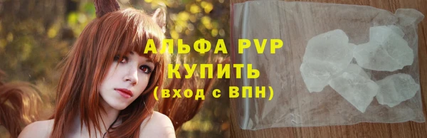 стафф Вяземский