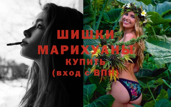 стафф Вяземский