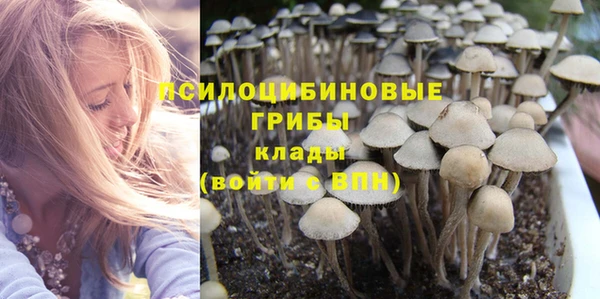 первитин Вязьма
