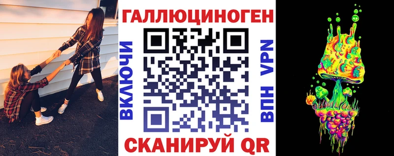 Купить где  Ревда  Галлюциногенные грибы Psilocybine cubensis 
